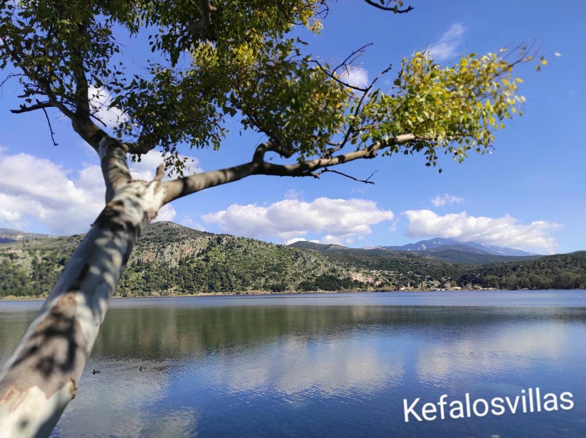 Kefalos Studios Argostoli 外观 照片